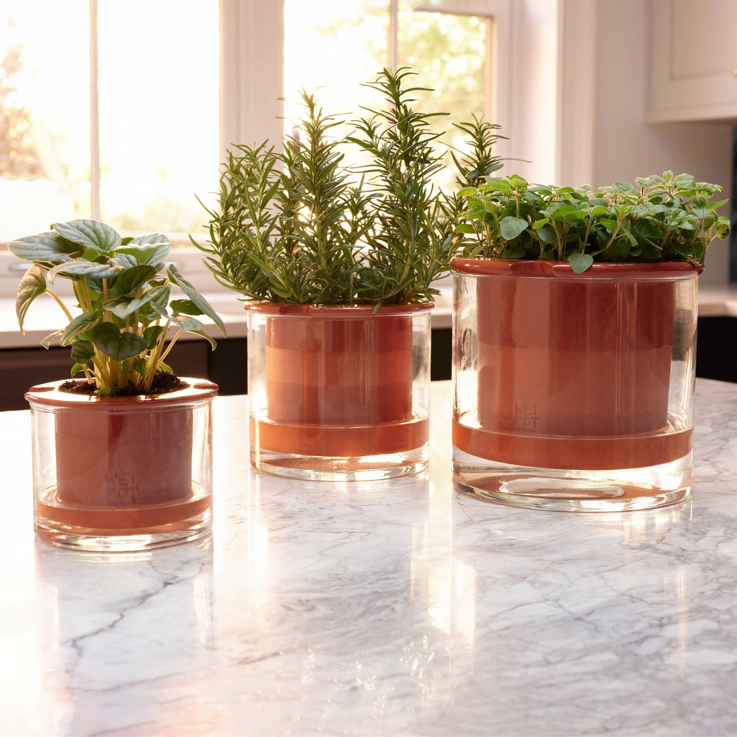 Self-Watering Wet Pots - X-Small