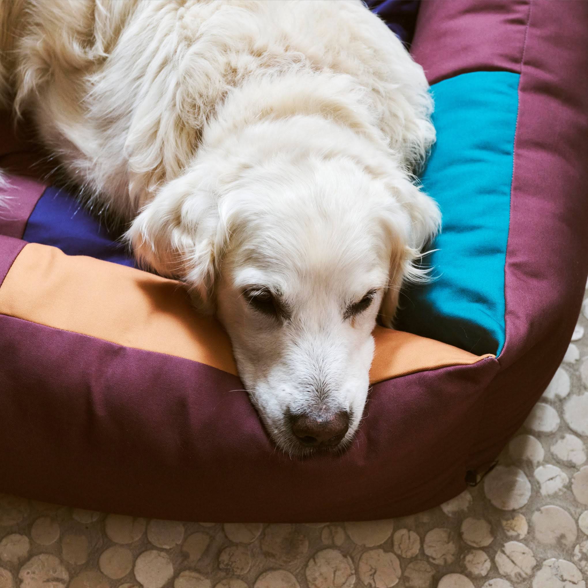 HAY Dog Bed in Recycled Polyester - Burgundy/ Green