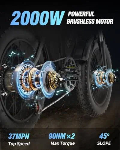 Dual Motor Electric Bike Q20PRO 2000W 52V 40Ah