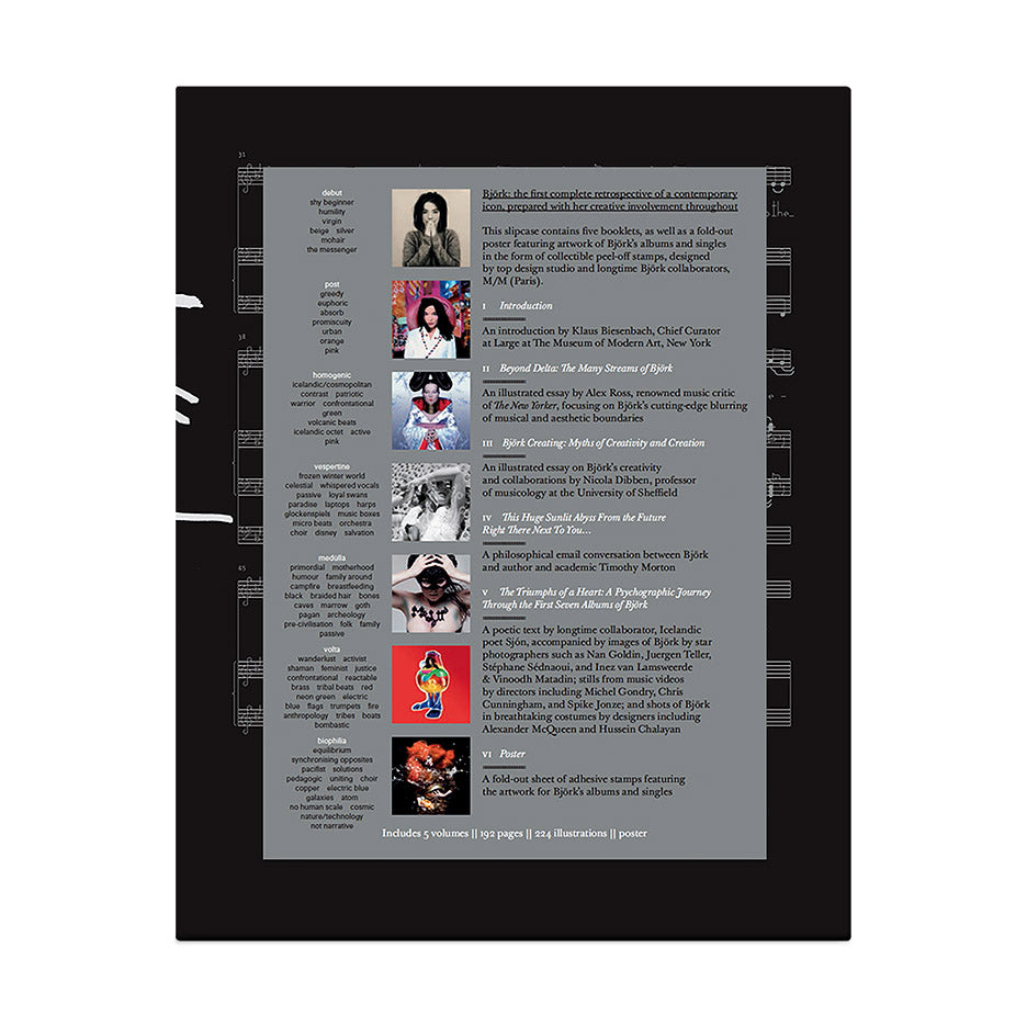 Bj?rk - Paperback