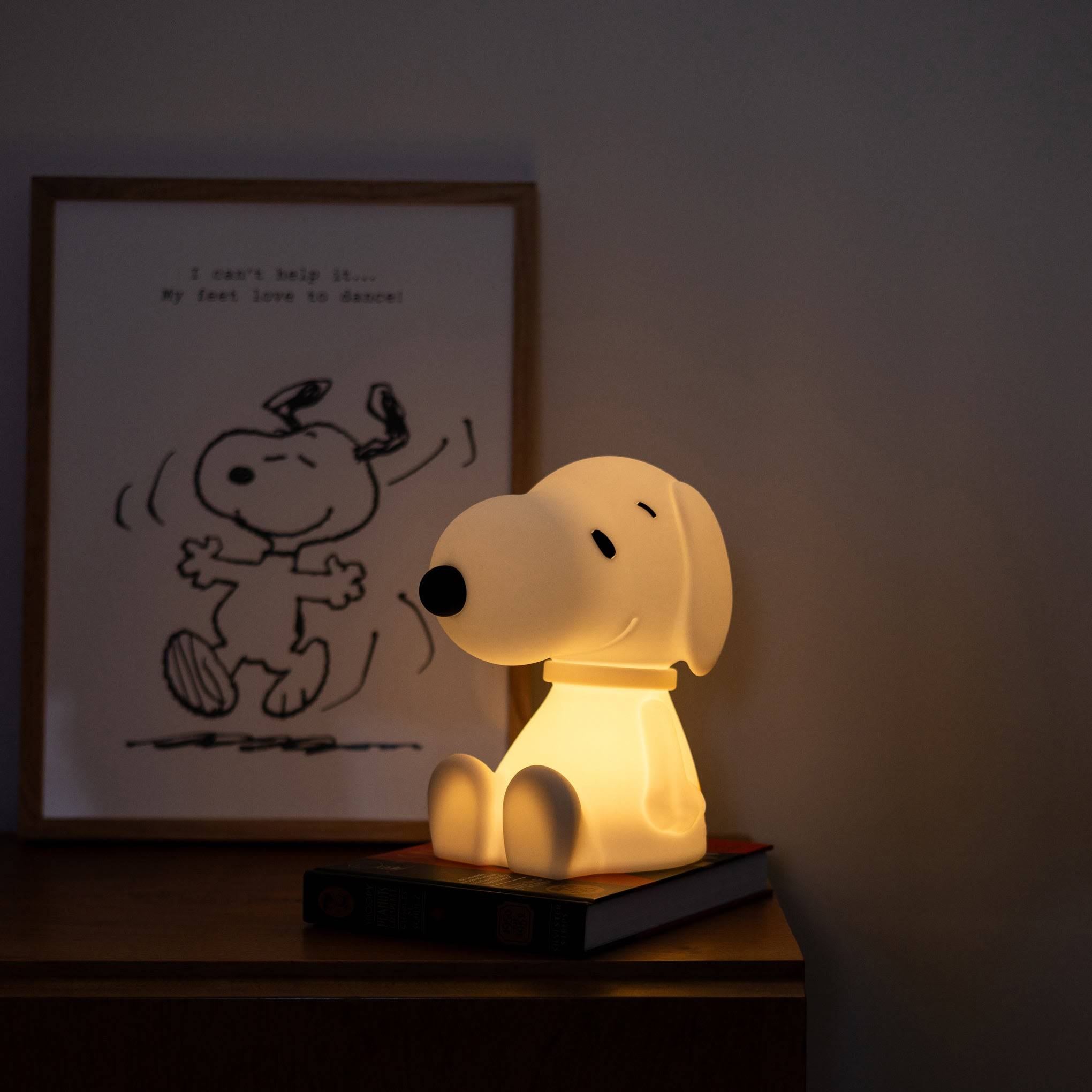 Snoopy Portable First Light - Large