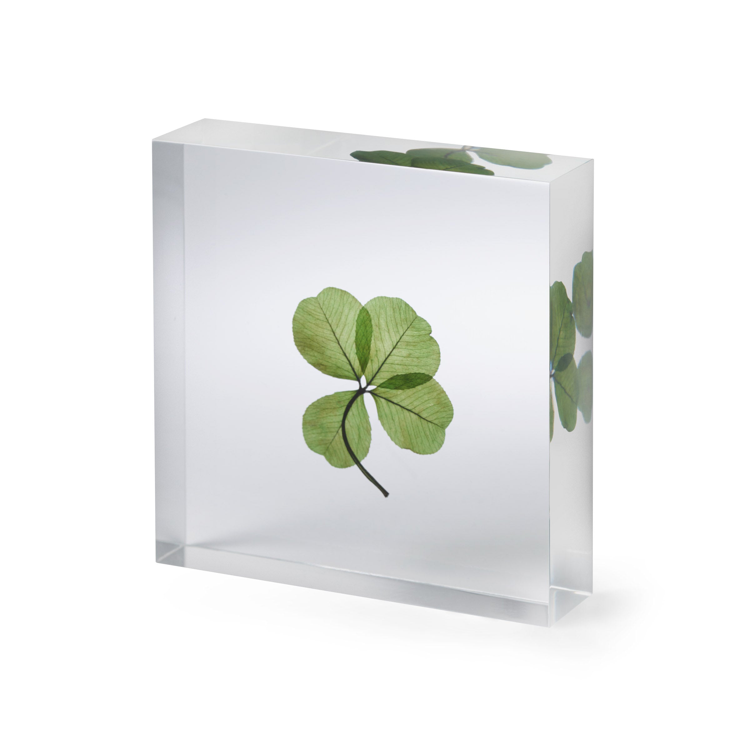 Lucky Clover Objet