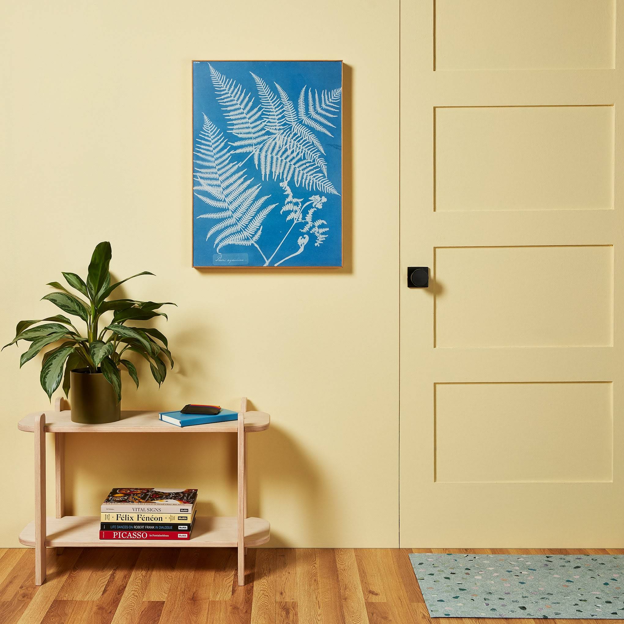 Anna Atkins Pteris Aquilina Framed Print