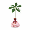 Avocado Vase - Pink