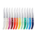 Rainbow Steak Knives - Set of 12