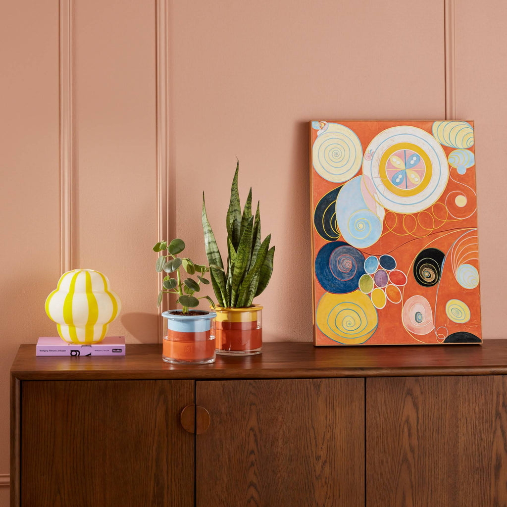 Hilma af Klint Youth Framed Print