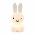 Miffy and Friends Silicone Rechargeable Lights - Miffy