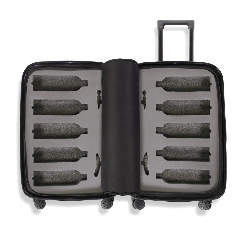 The Ten (10-Bottle) Wine Luggage, TSA Approved Anti-Theft Zipper, Lightweight Hard Shell Spinner Suitcase