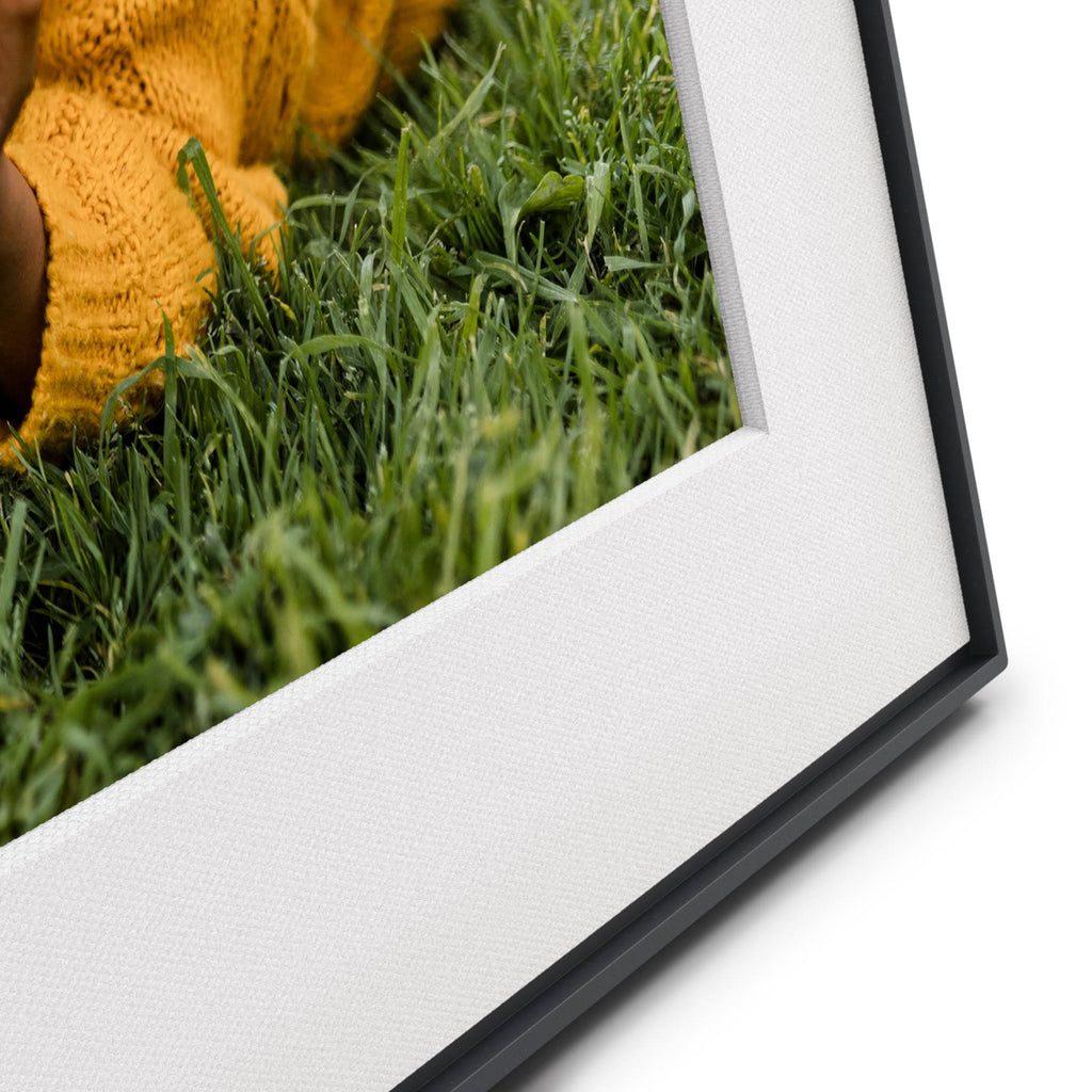 Aura Walden Digital Picture Frame - Black