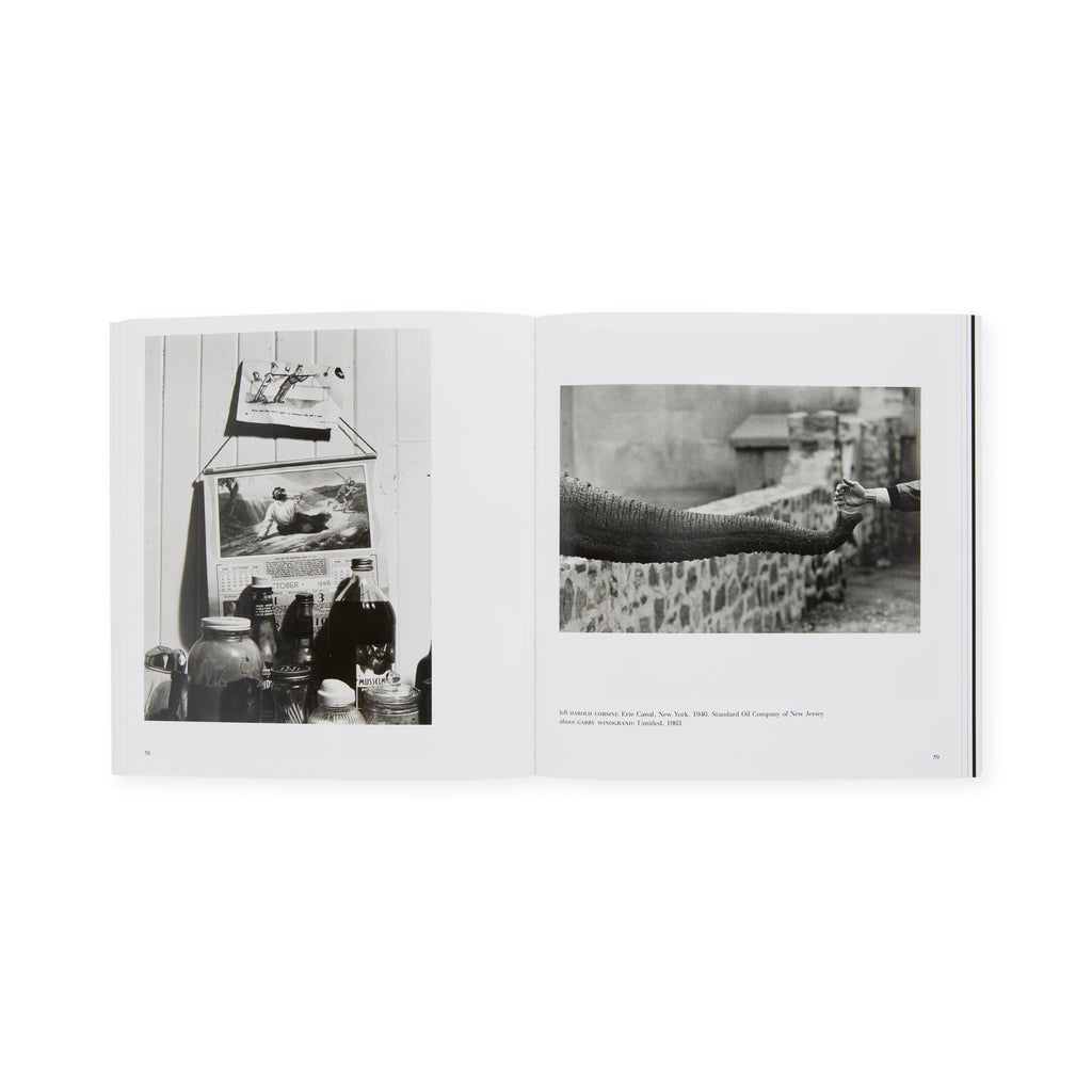 The Photographer's Eye - Paperback