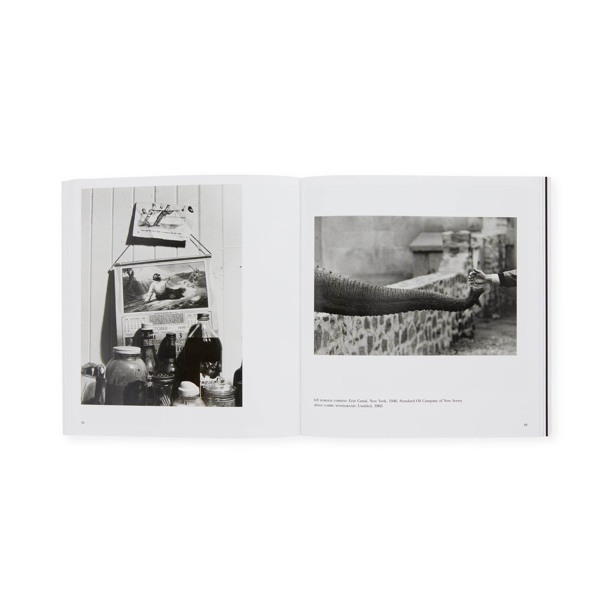 The Photographer's Eye - Paperback
