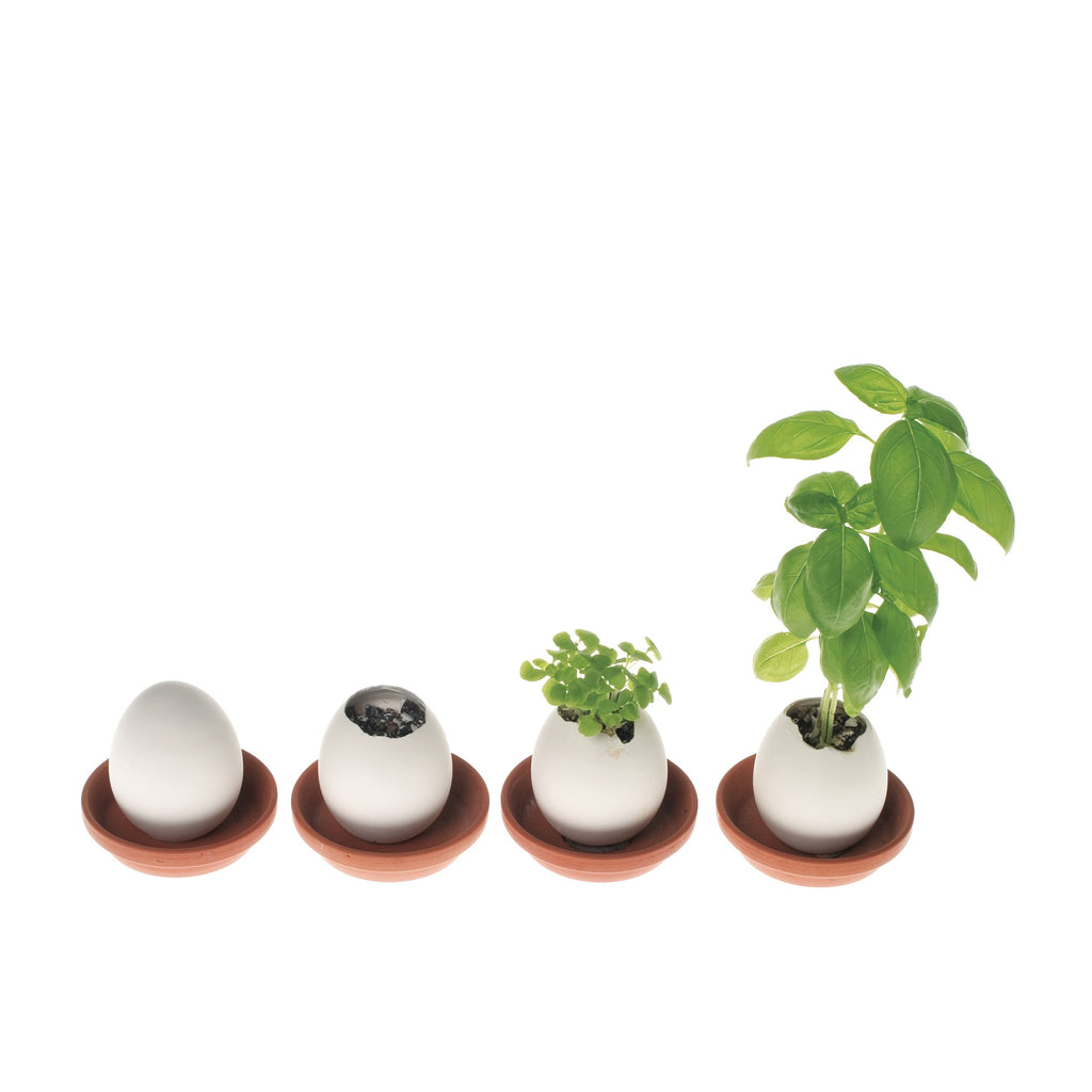 Eggling Crack &amp; Grow Planter Kit - Basil