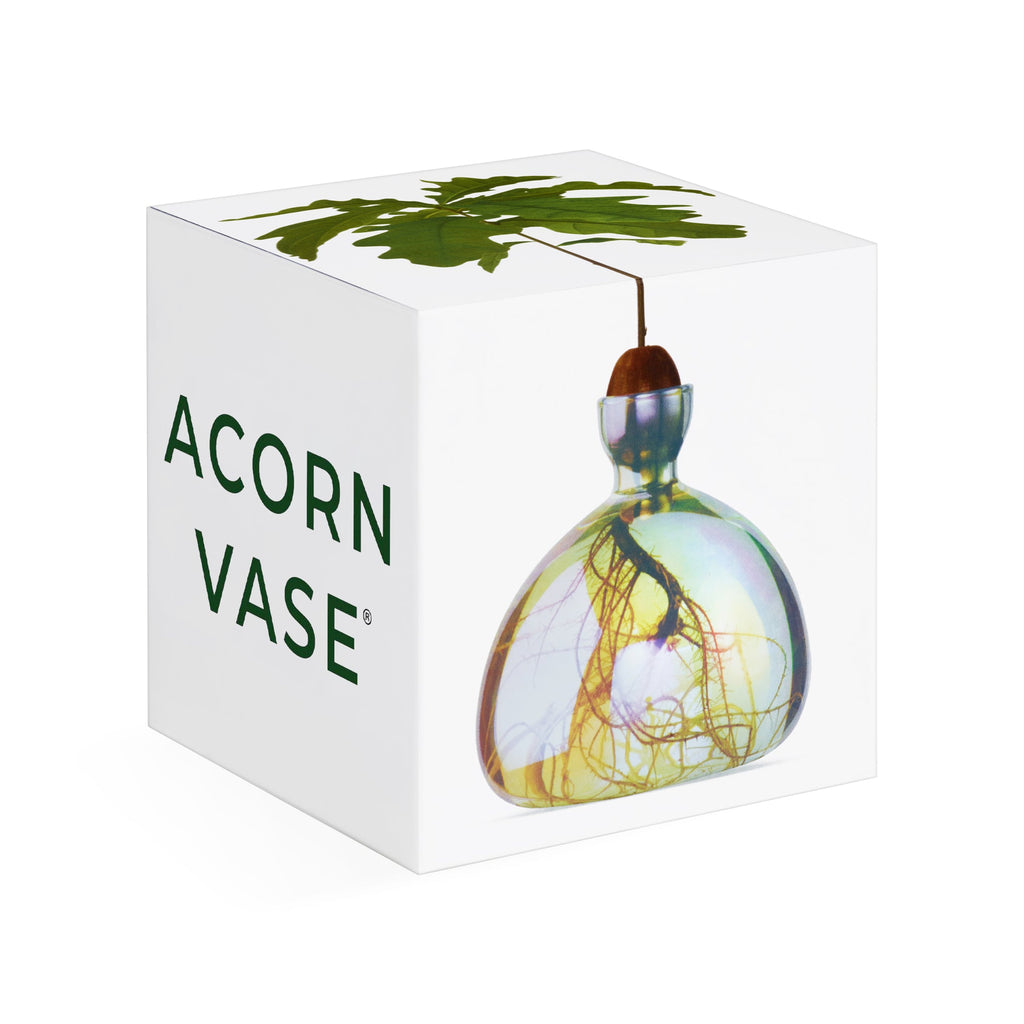 Acorn Vase - iridescent