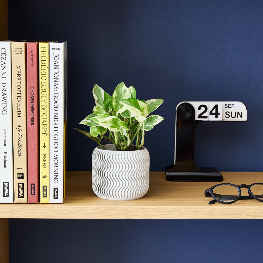 Wavy Pine 3D-Printed Planter - White