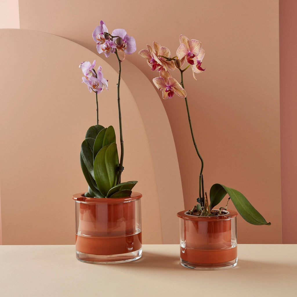Self-Watering Wet Pots - Medium