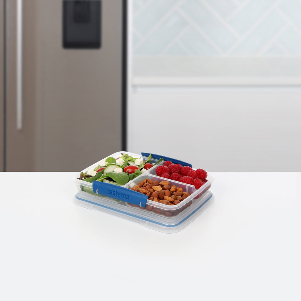 To Go 820ml/3.4 Cups Multi Split Food Storage Container