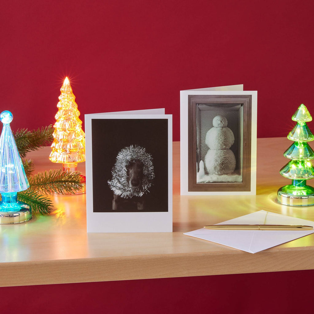 William Wegman Man Ray with Tinsel Holiday Cards - Set of 12