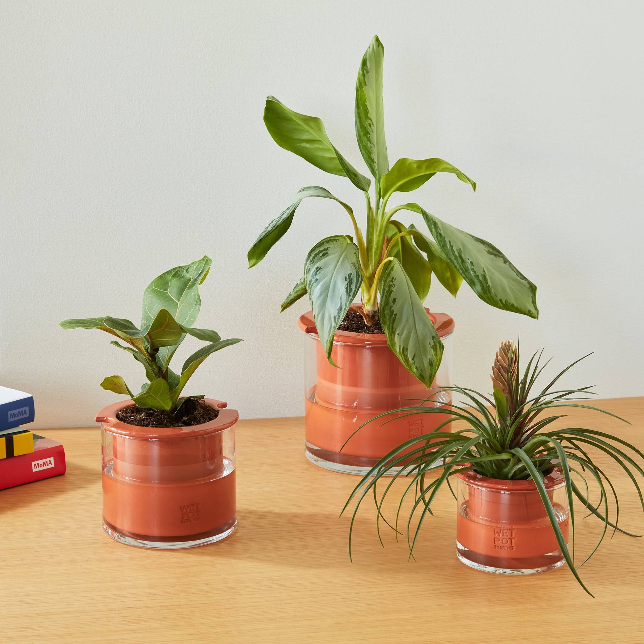 Self-Watering Wet Pots - X-Small