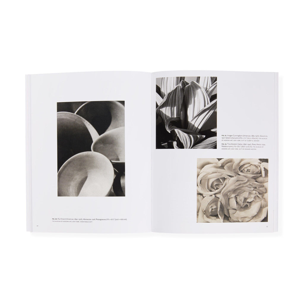 Georgia O'Keeffe: Abstraction Blue - MoMA One on One Series - Paperback