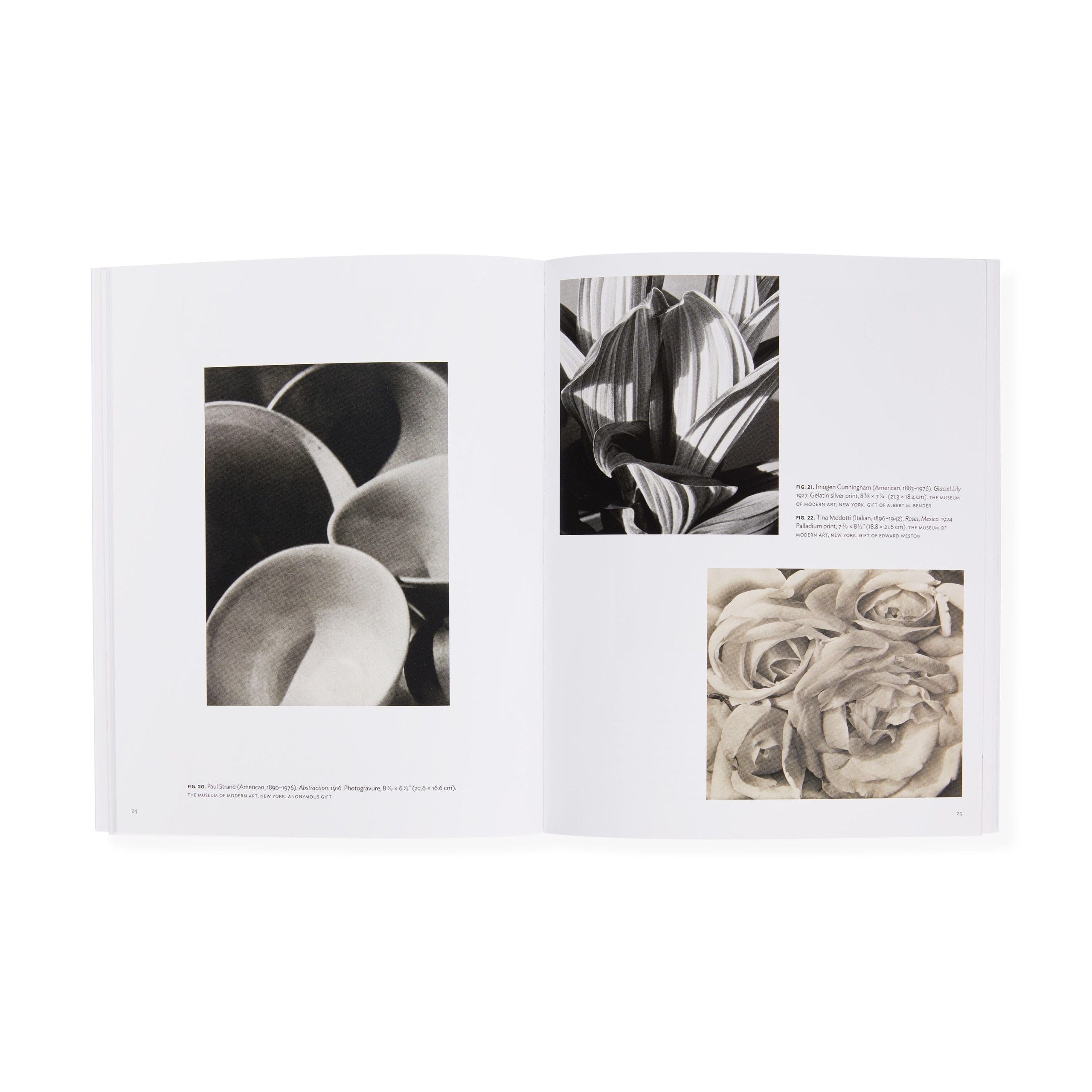 Georgia O'Keeffe: Abstraction Blue - MoMA One on One Series - Paperback