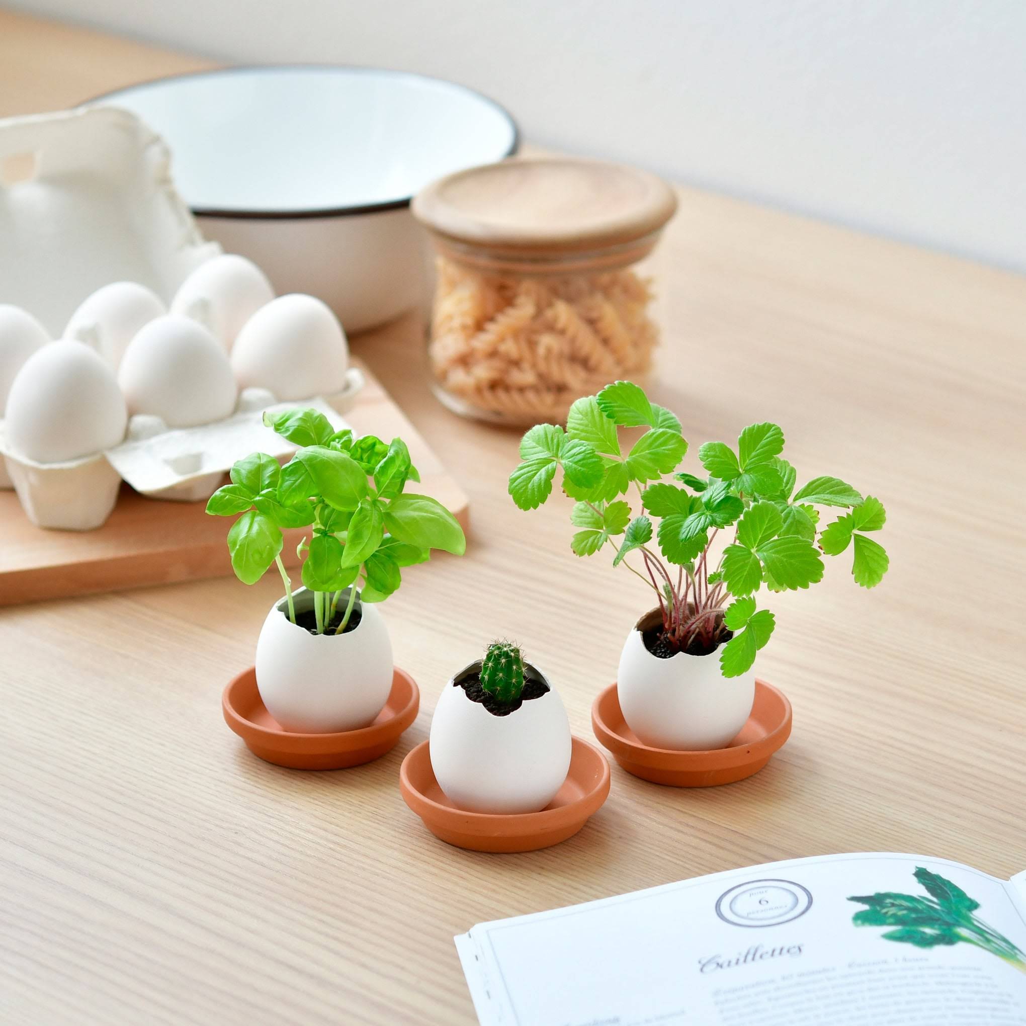 Eggling Crack &amp; Grow Planter Kit - Basil