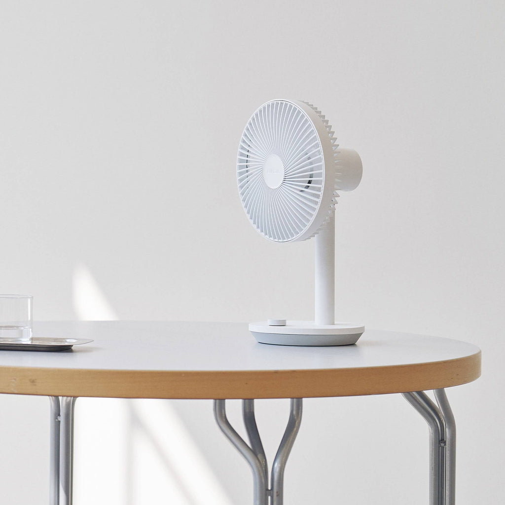 Prime 3 Wireless Fan