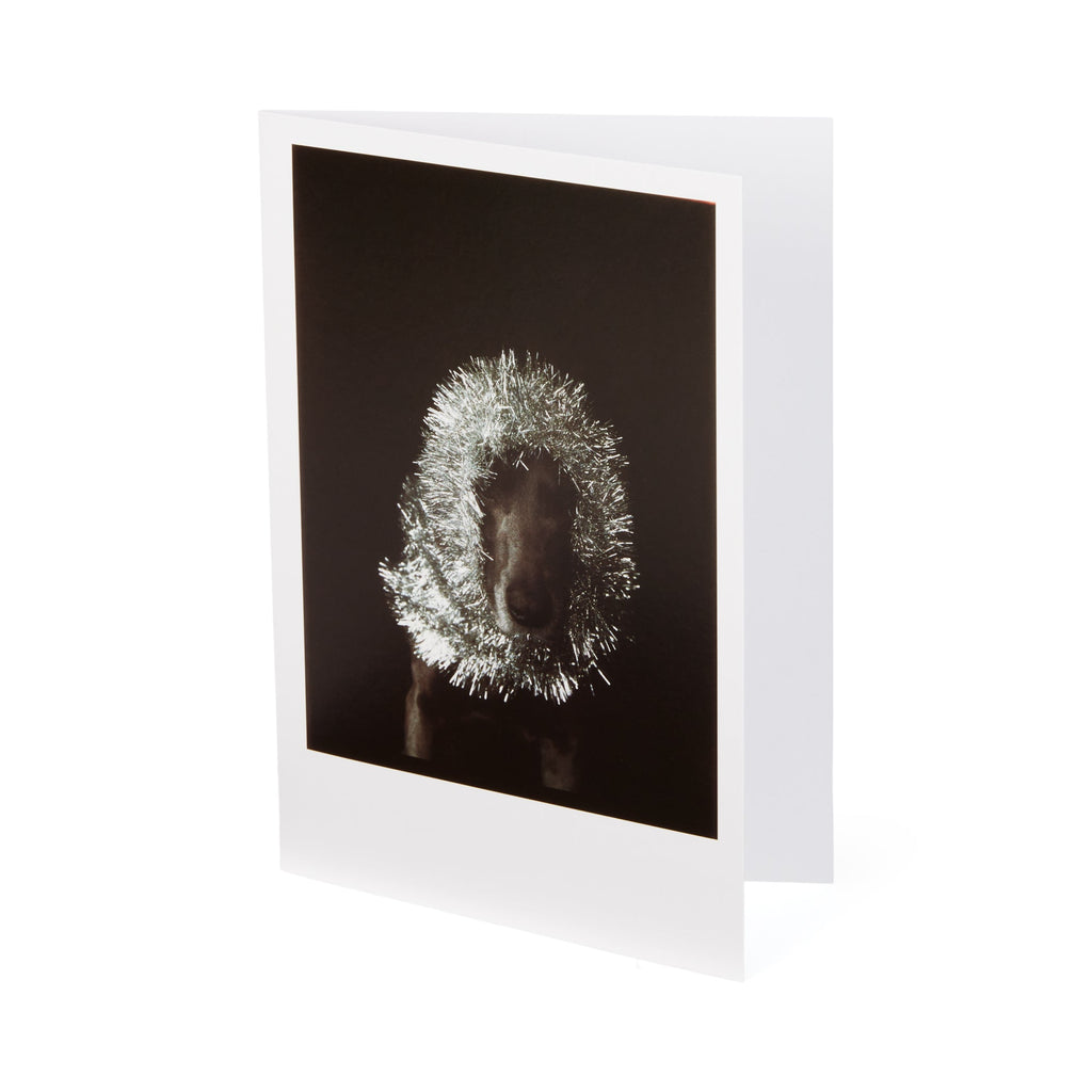 William Wegman Man Ray with Tinsel Holiday Cards - Set of 12