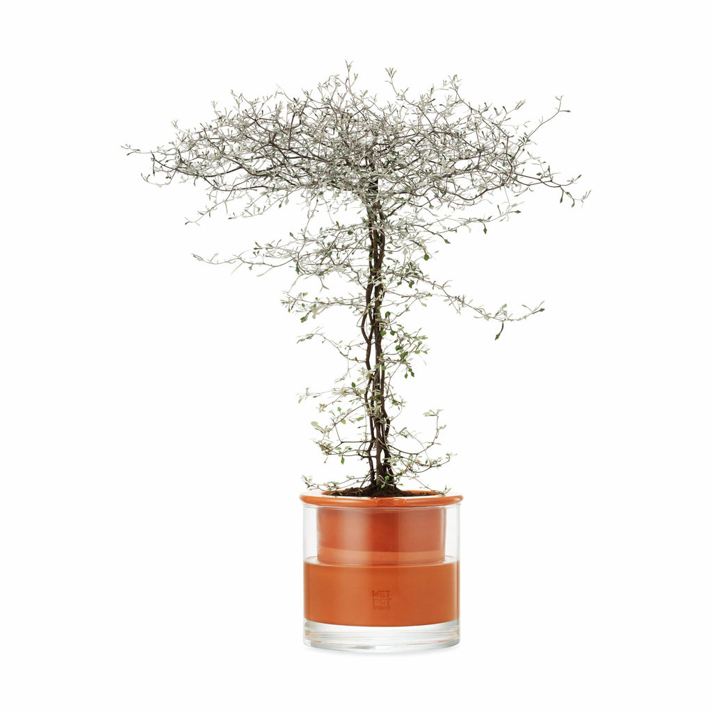 Self-Watering Wet Pots - Medium