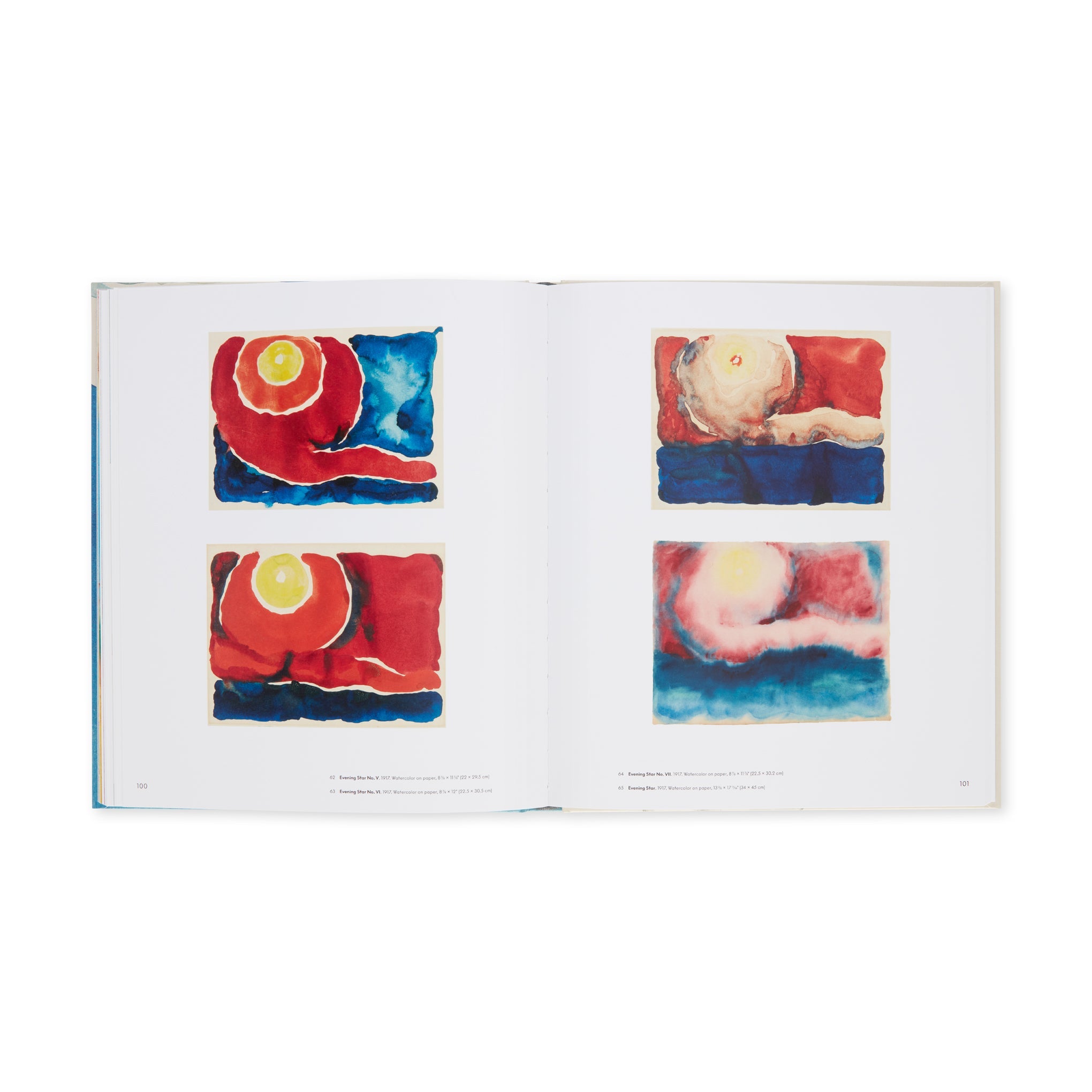 Georgia O'Keeffe: To See Takes Time - Hardcover