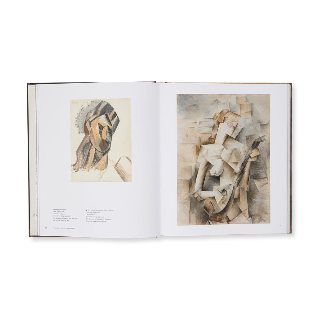 Picasso in Fontainebleau - Hardcover