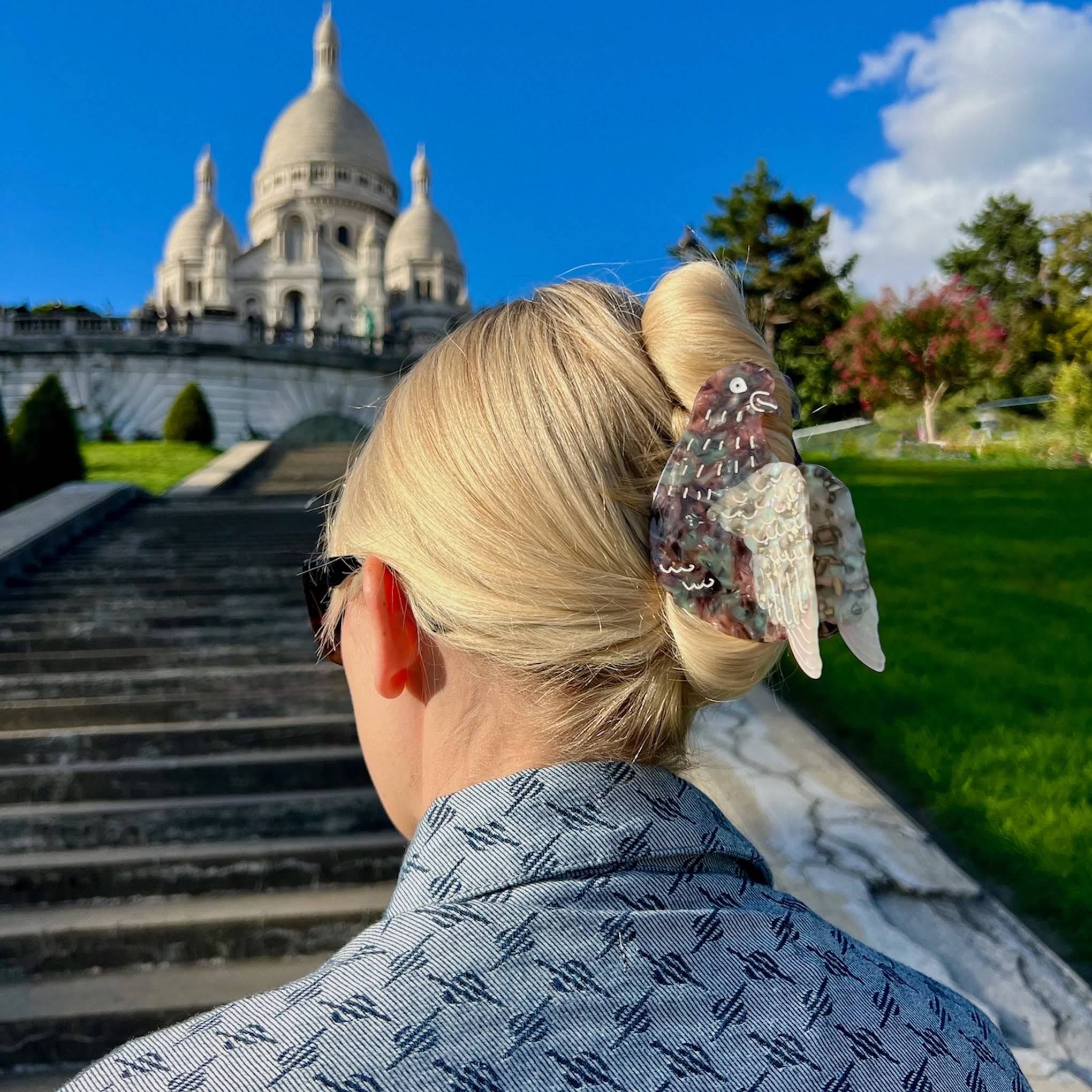 Solar Eclipse Hair Clip - Pigeon
