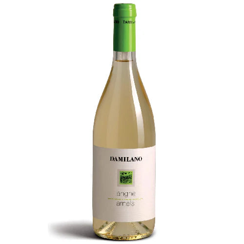 Damilano Arneis 2024 - 750ml