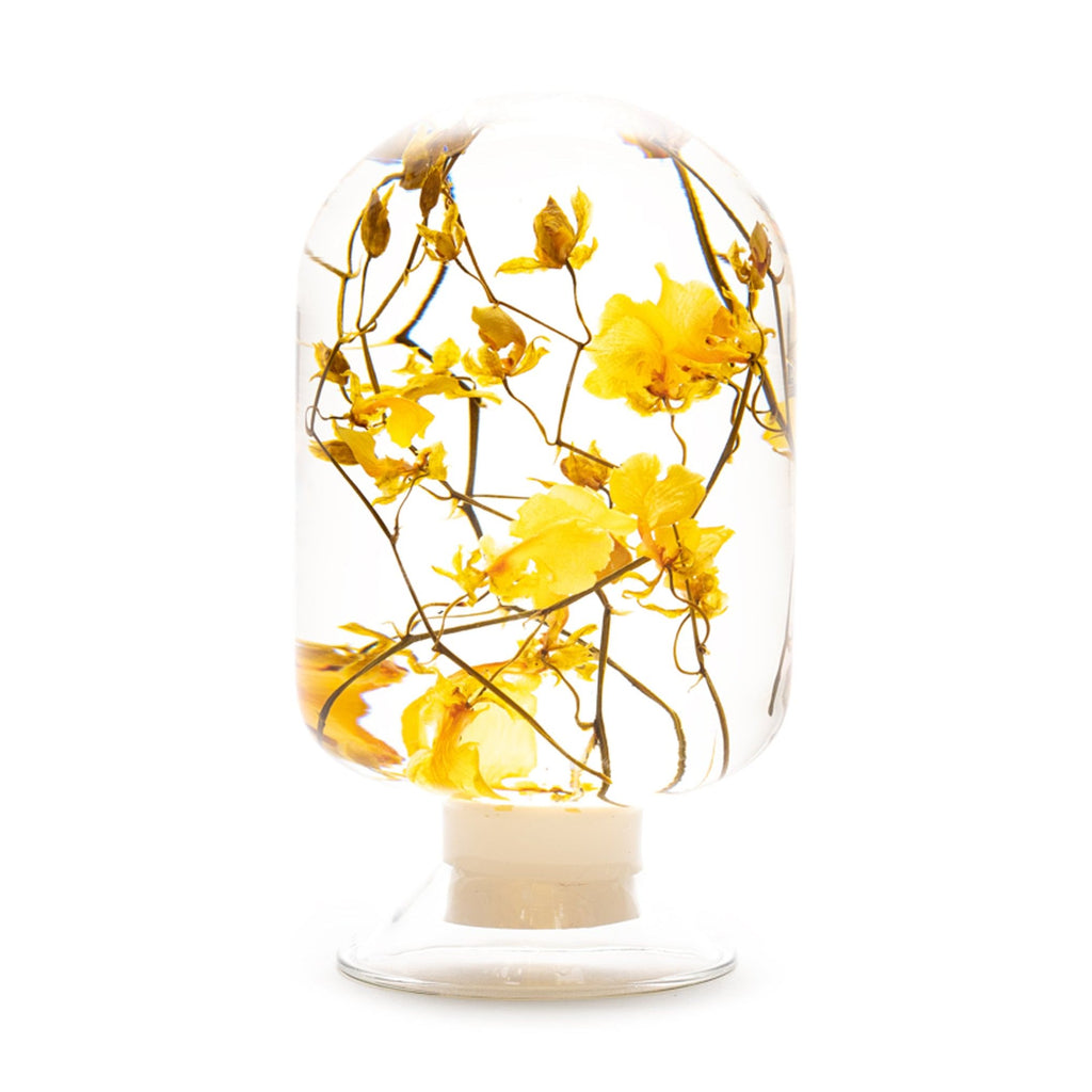 Pieces of Time Flower Objet d'Art - Yellow Oncidium
