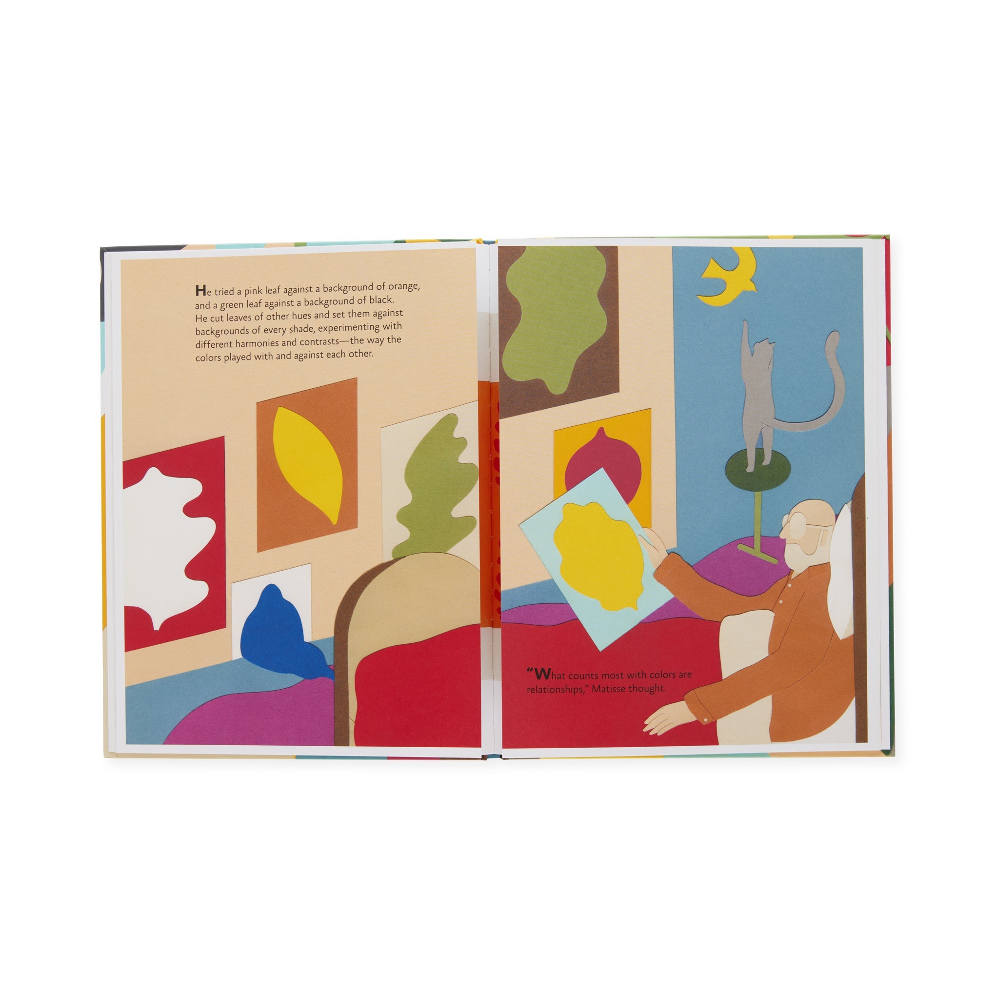 Matisse's Garden - Hardcover