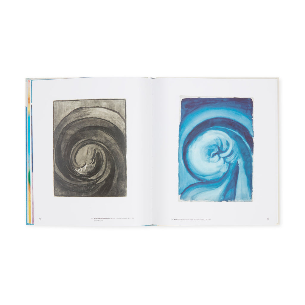 Georgia O'Keeffe: To See Takes Time - Hardcover