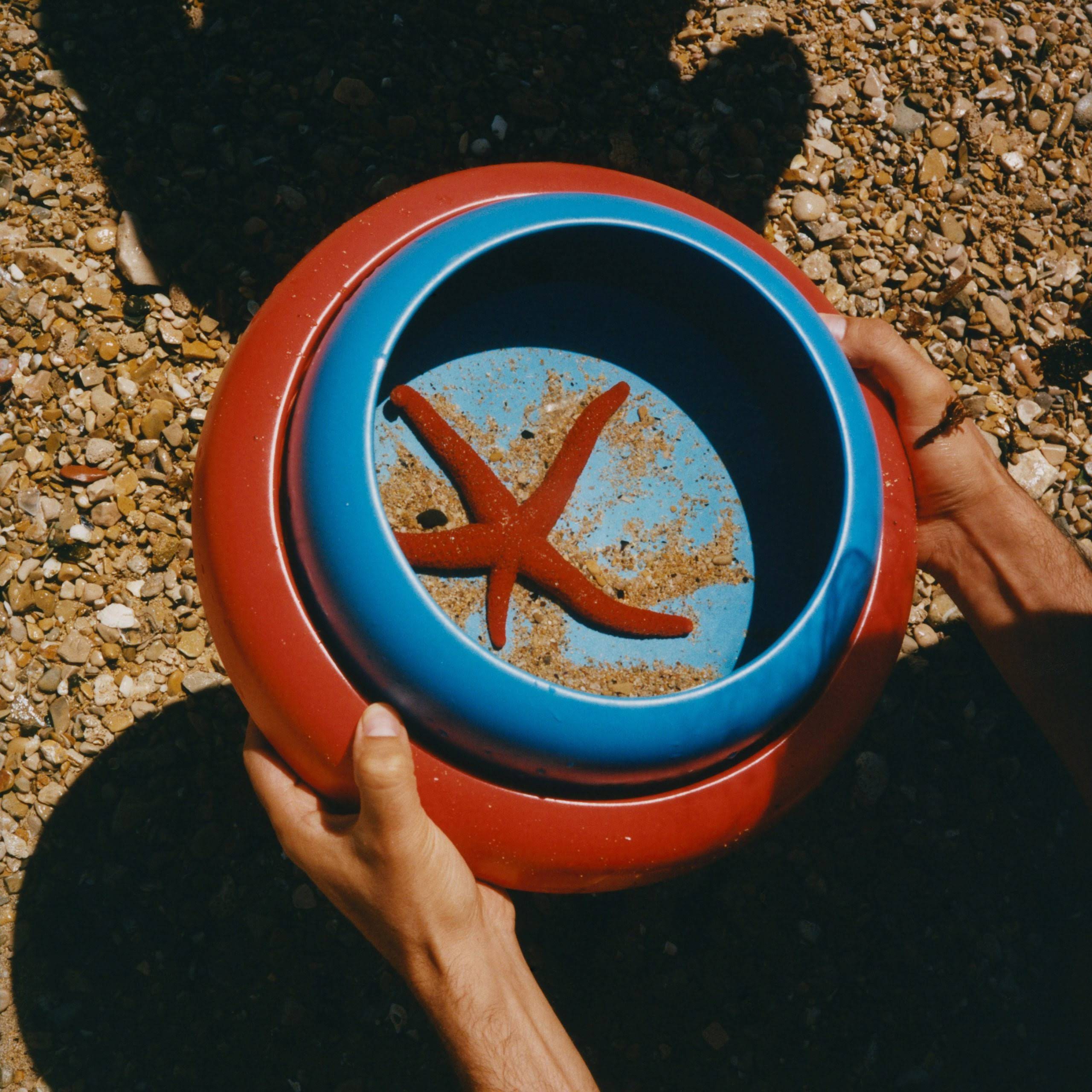 Omar/Raawii Bowl - Strong Coral