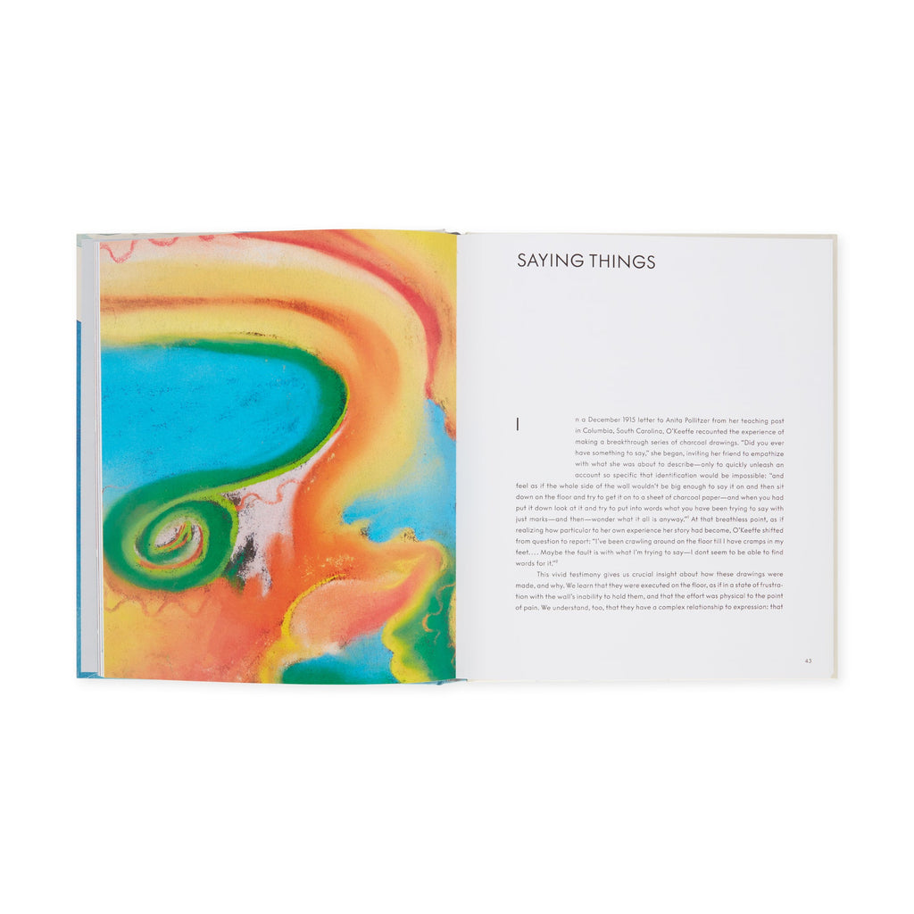 Georgia O'Keeffe: To See Takes Time - Hardcover