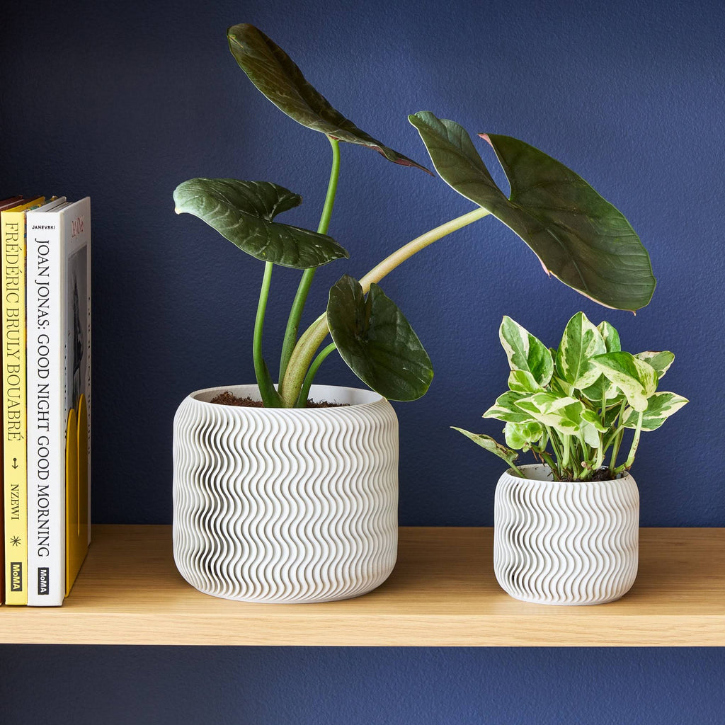 Wavy Pine 3D-Printed Planter - White