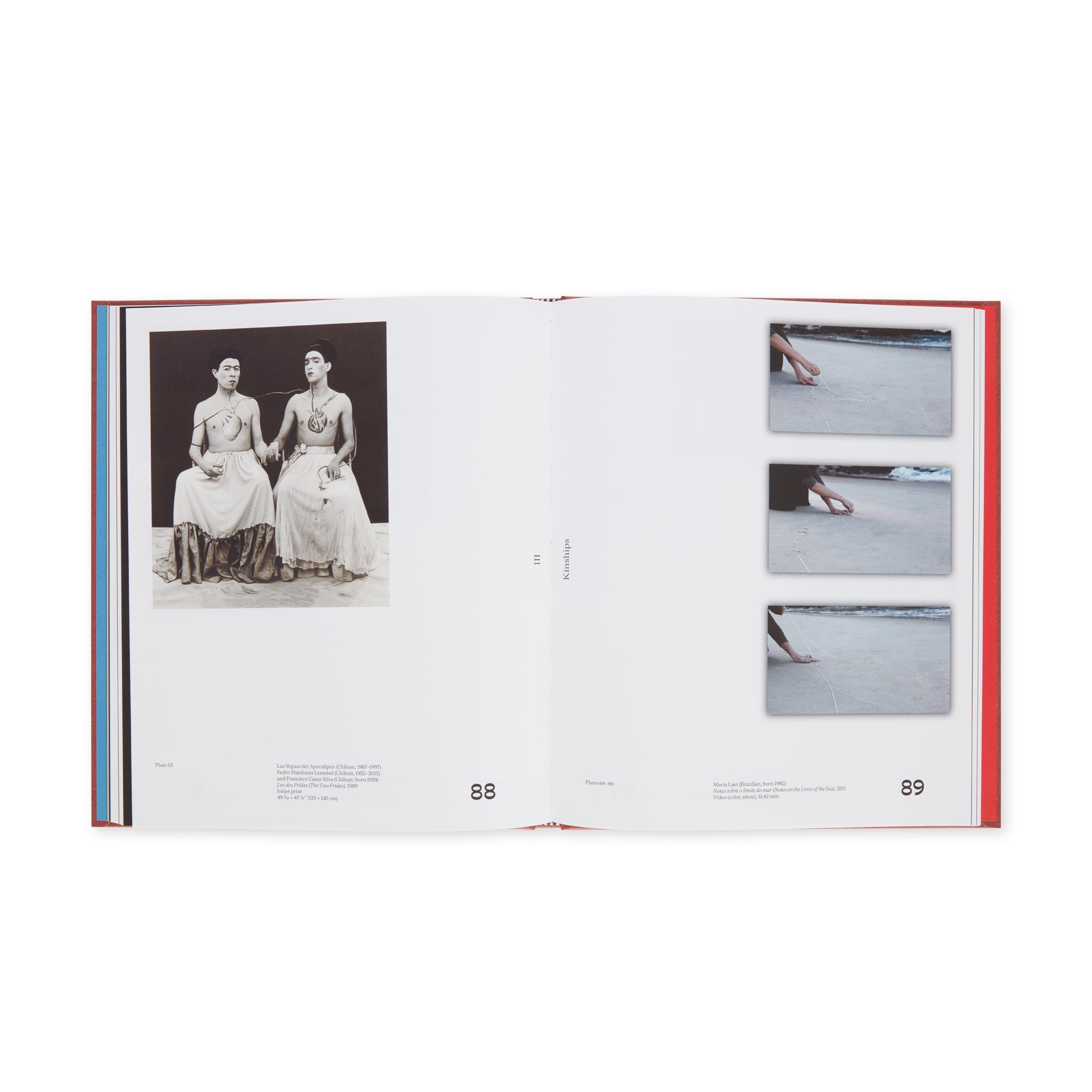 Chosen Memories: Contemporary Latin American Art from the Patricia Phelps de Cisneros Gift and Beyond - Hardcover