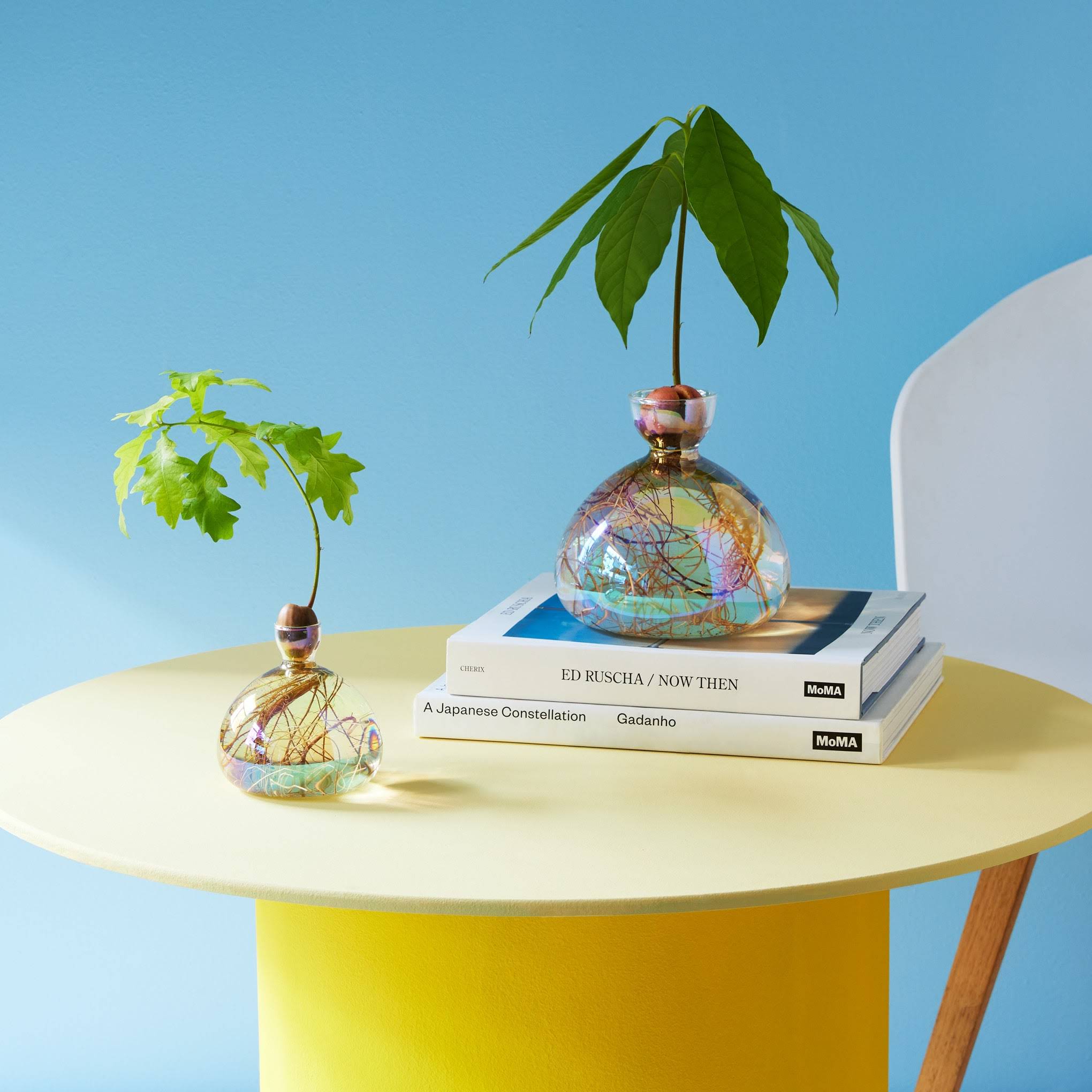 Acorn Vase - iridescent