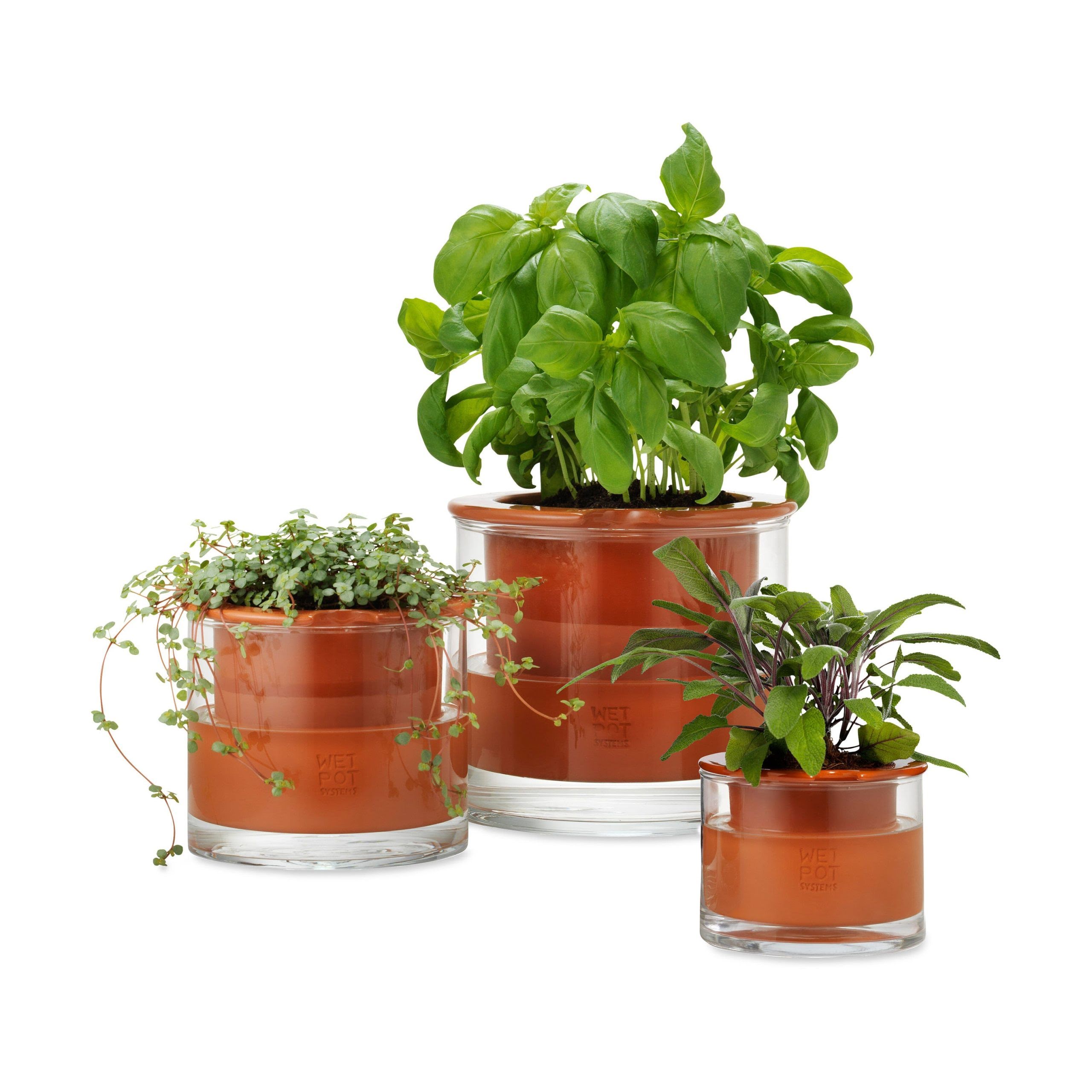 Self-Watering Wet Pots - Small