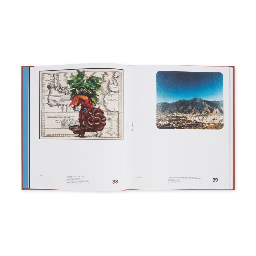 Chosen Memories: Contemporary Latin American Art from the Patricia Phelps de Cisneros Gift and Beyond - Hardcover