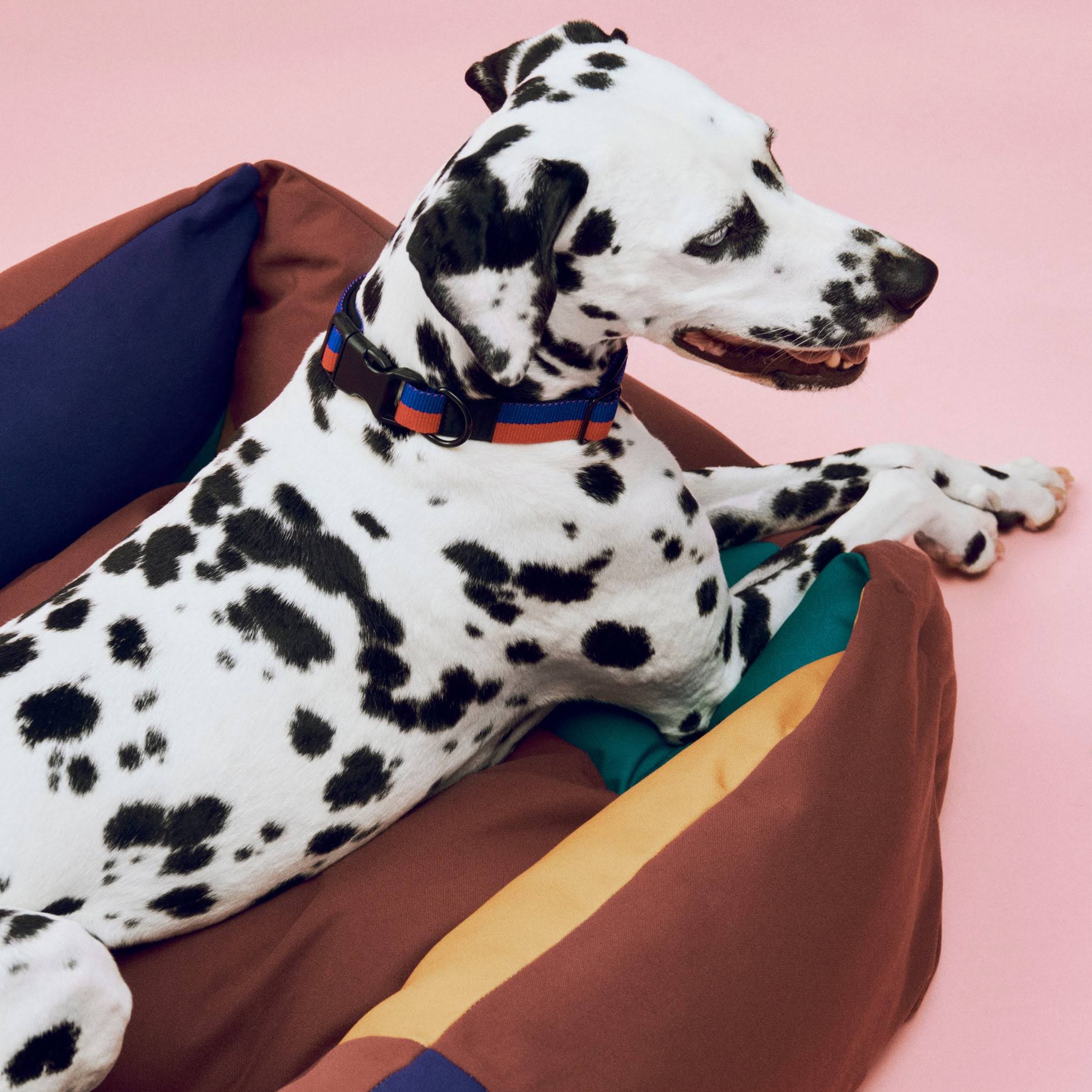 HAY Dog Bed in Recycled Polyester - Multi