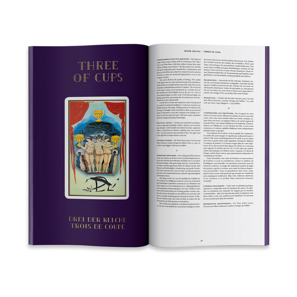 Salvador Dalí Tarot Card Gift Set