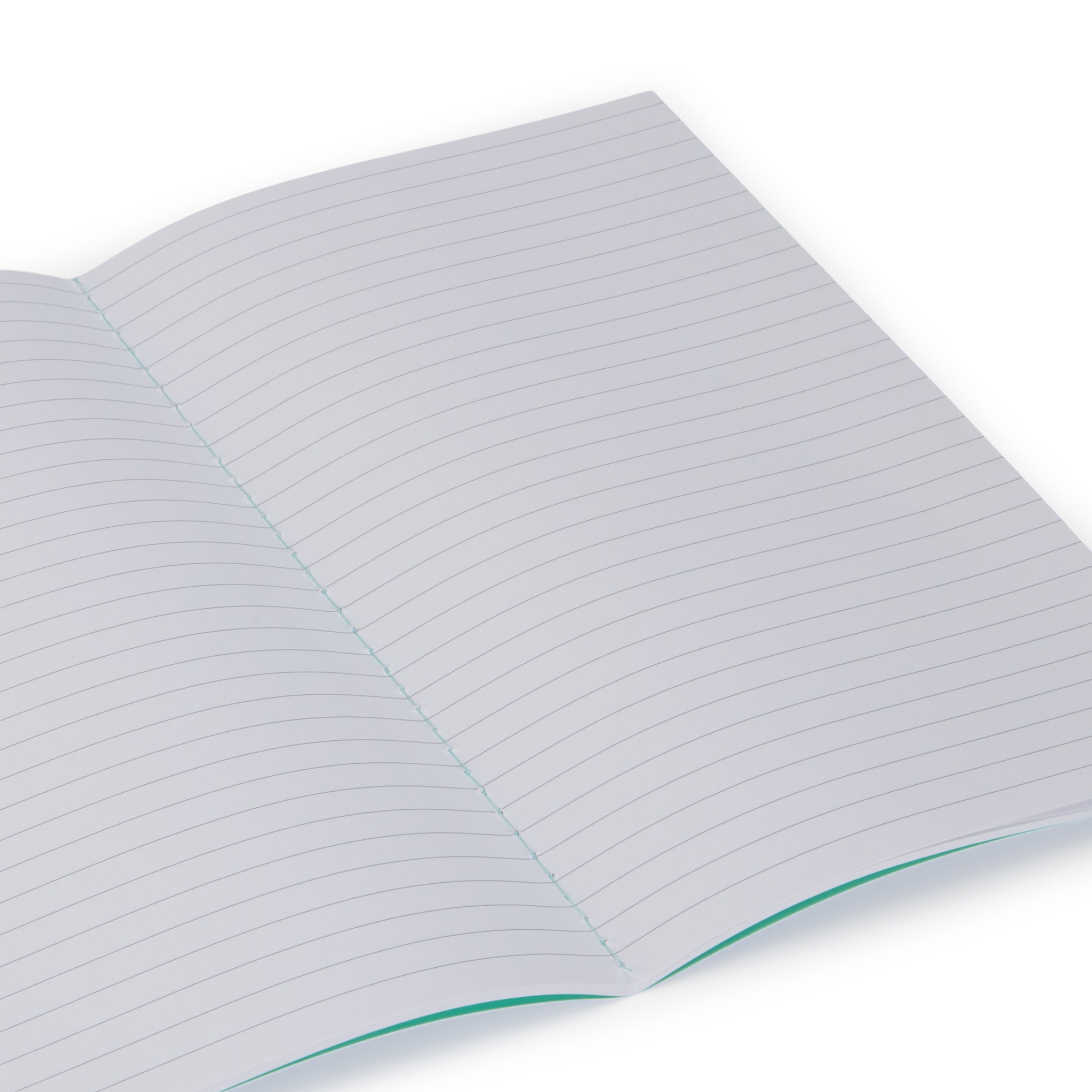 MoMA Henri Matisse Quote Notebook