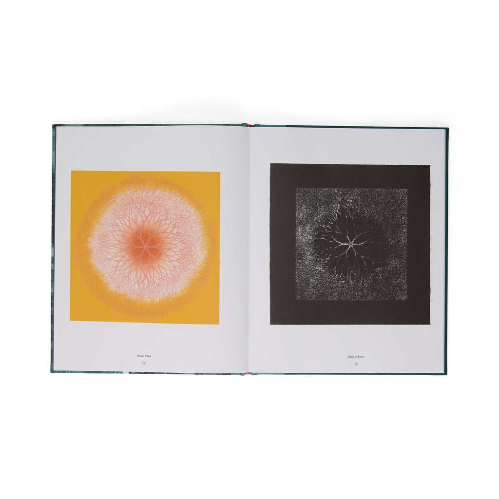 Ruth Asawa: The Tamarind Prints - Hardcover Book
