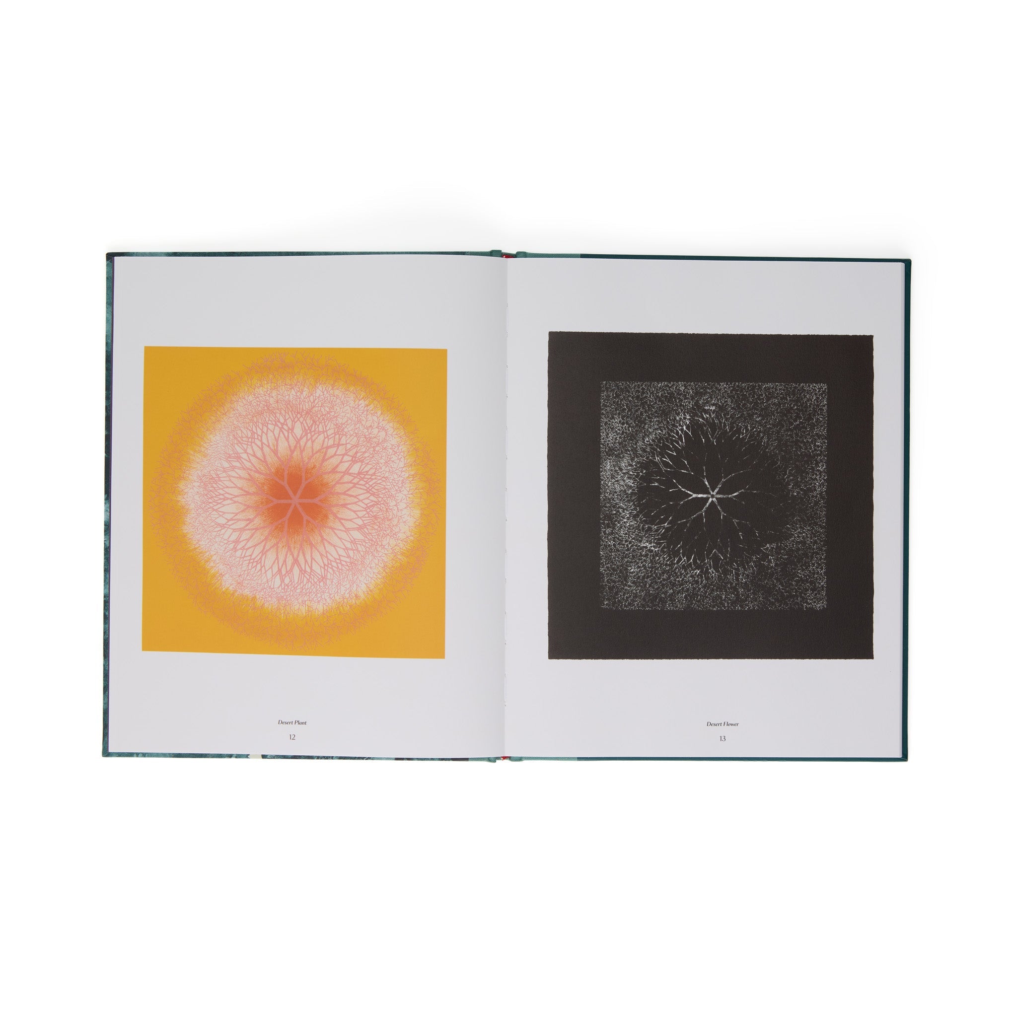 Ruth Asawa: The Tamarind Prints - Hardcover Book