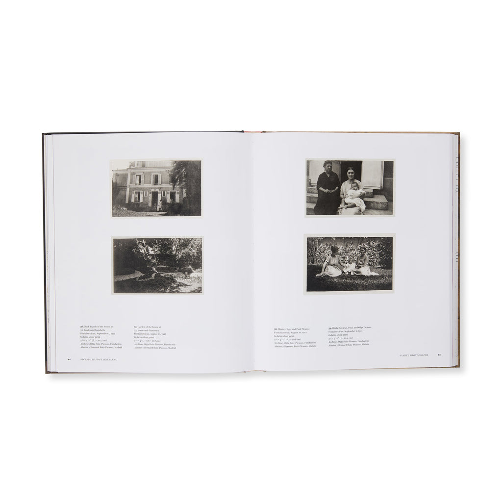 Picasso in Fontainebleau - Hardcover