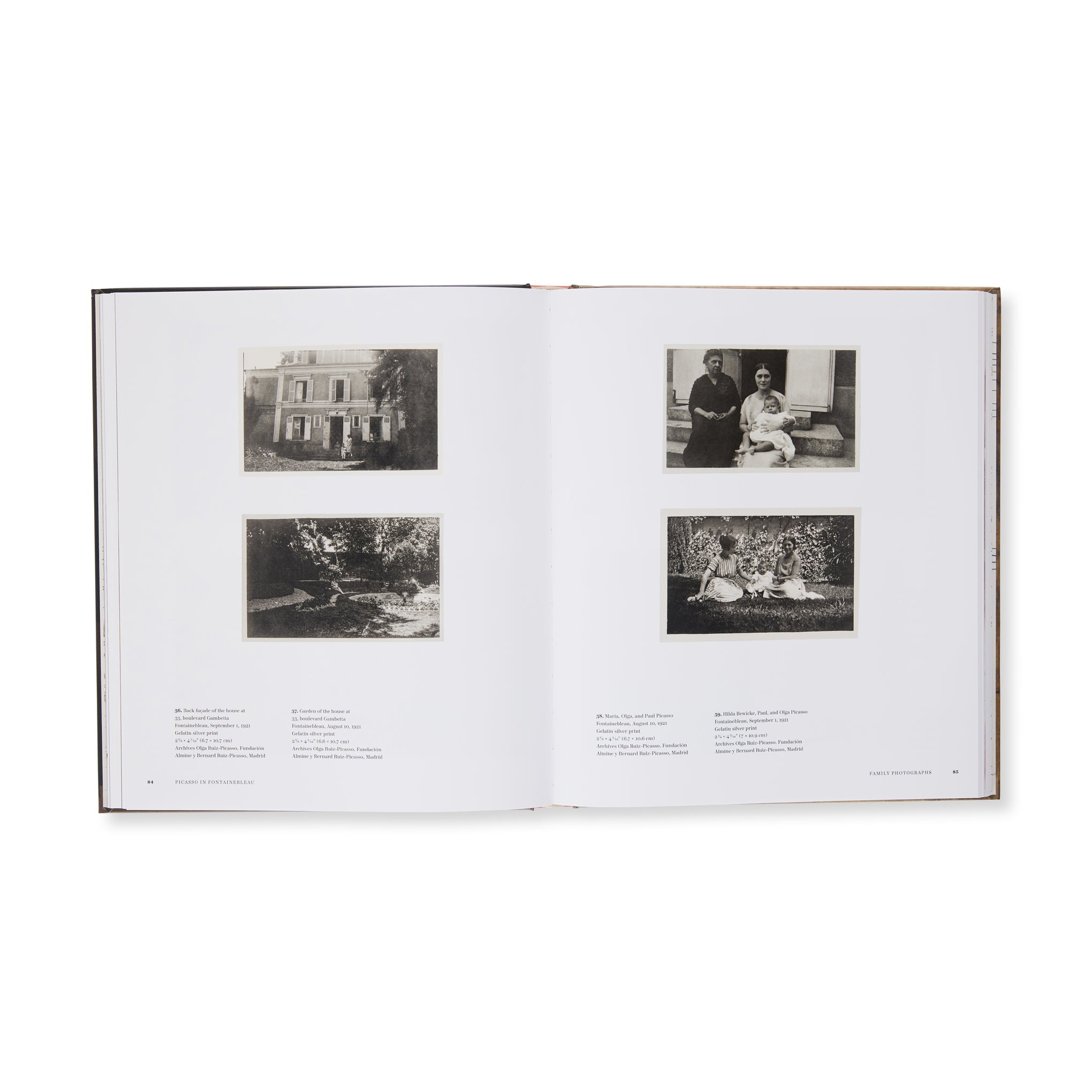 Picasso in Fontainebleau - Hardcover