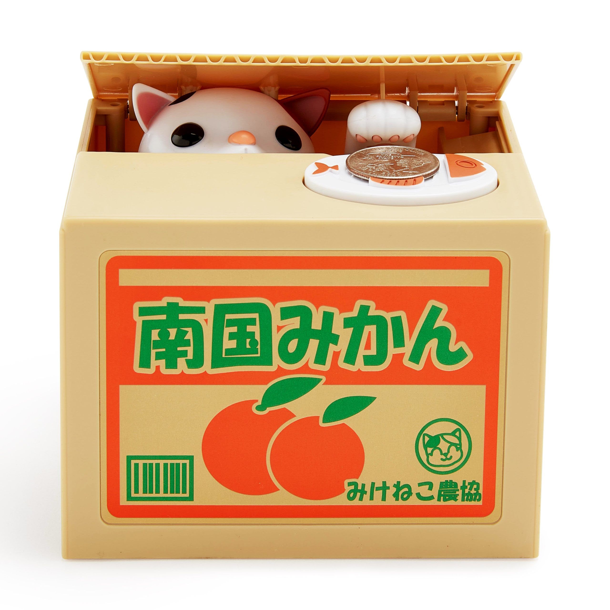 Cat in Coin Bank